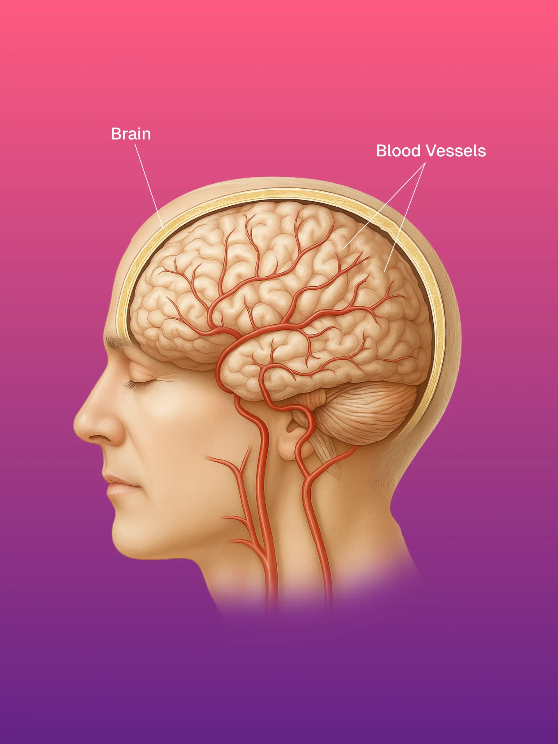 USG ve CT Kılavuzlu FNAC/BİYOPSİ