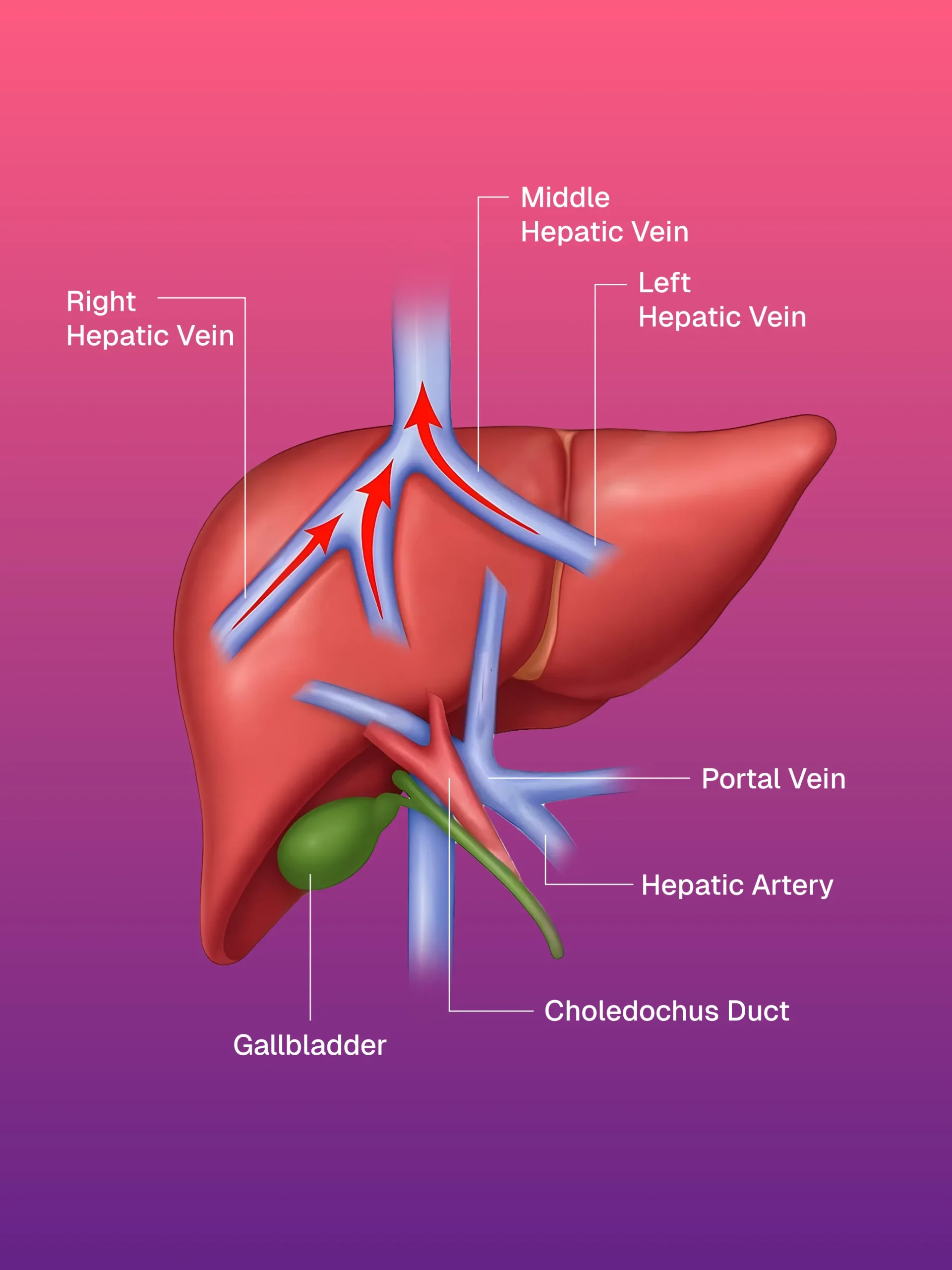 Vakum Destekli Meme Biyopsisi