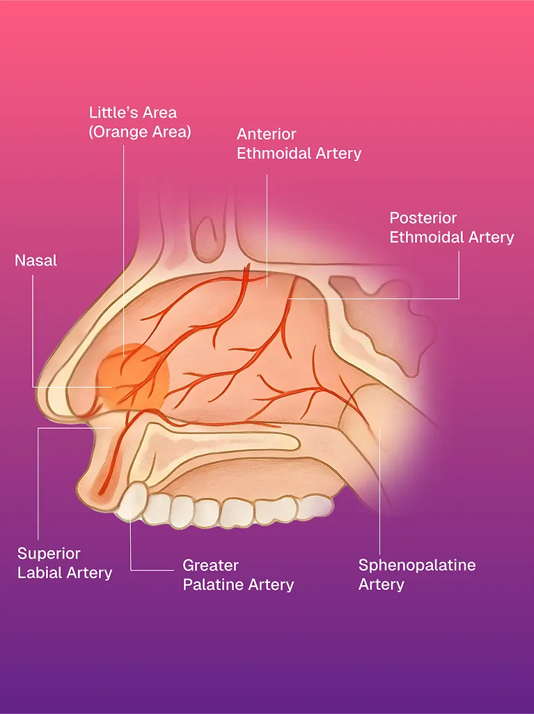 USG ve CT Kılavuzlu FNAC/BİYOPSİ